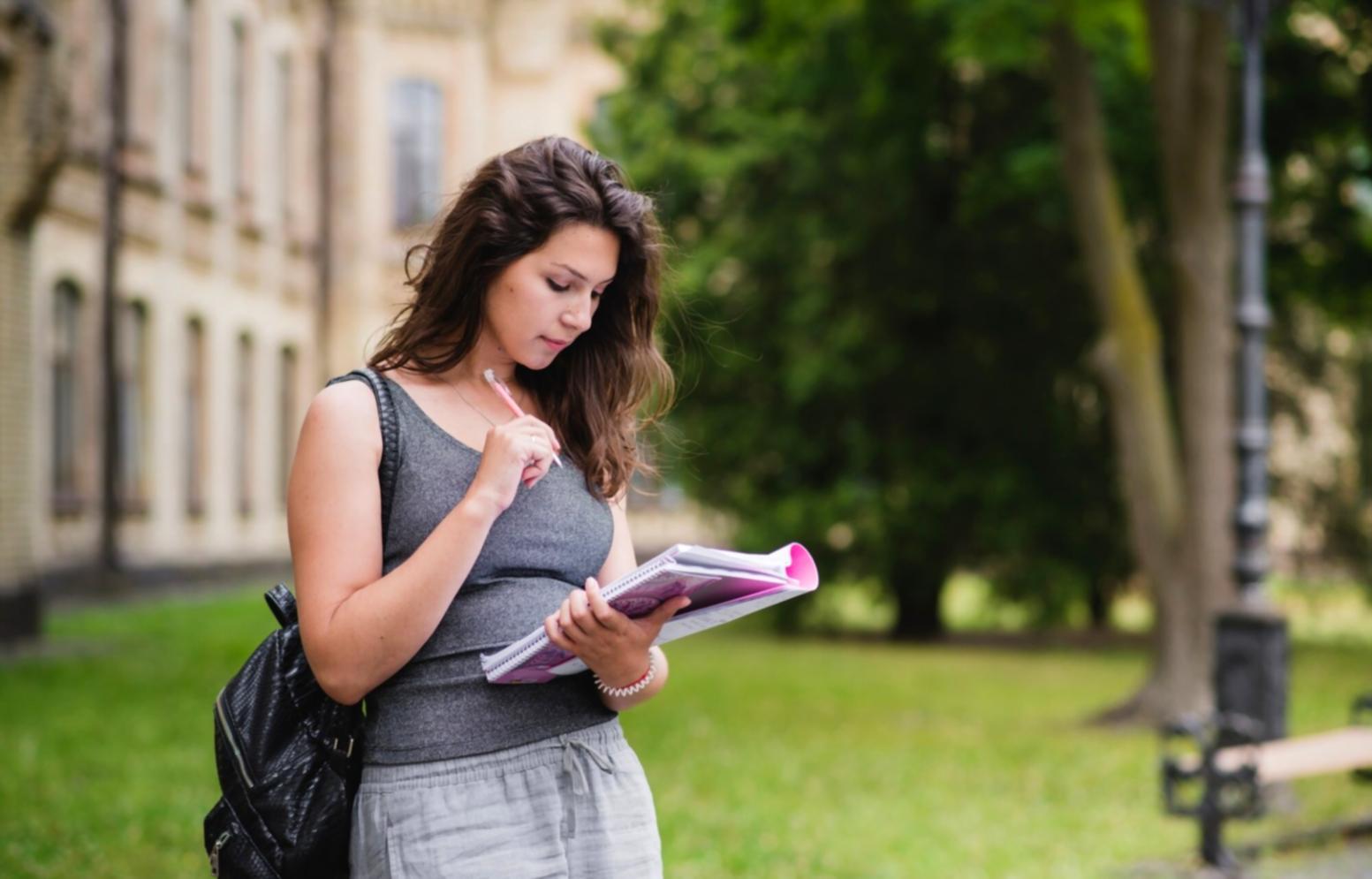 Professional meeting discussing partnership opportunities and program implementation